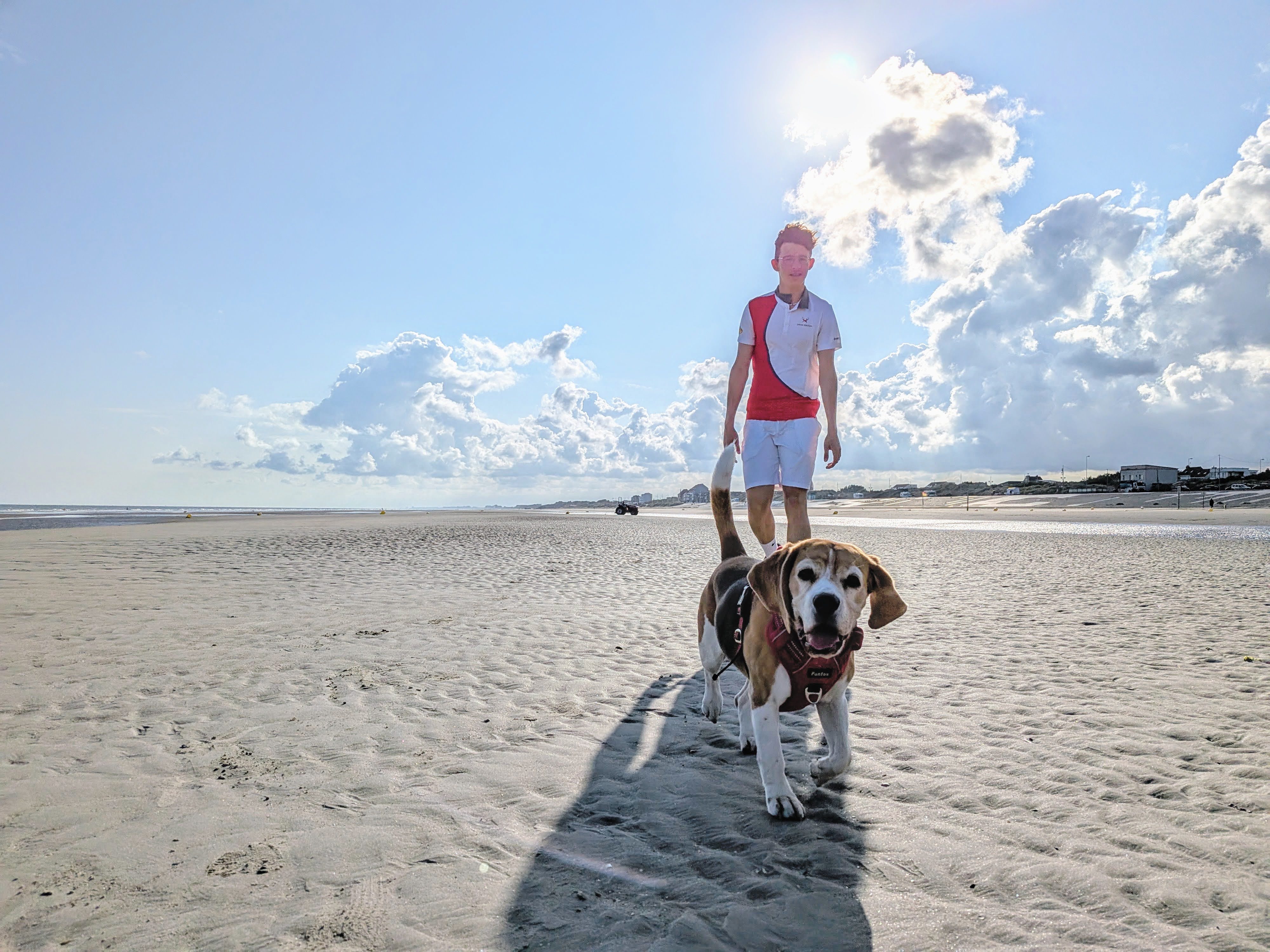 Spaziergang mit dem Hund in der Natur